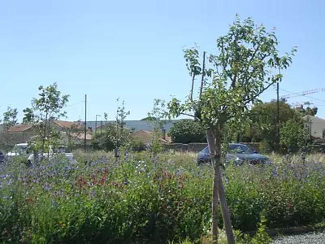 Achat terrains Hyères