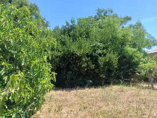 Achat terrains La Crau