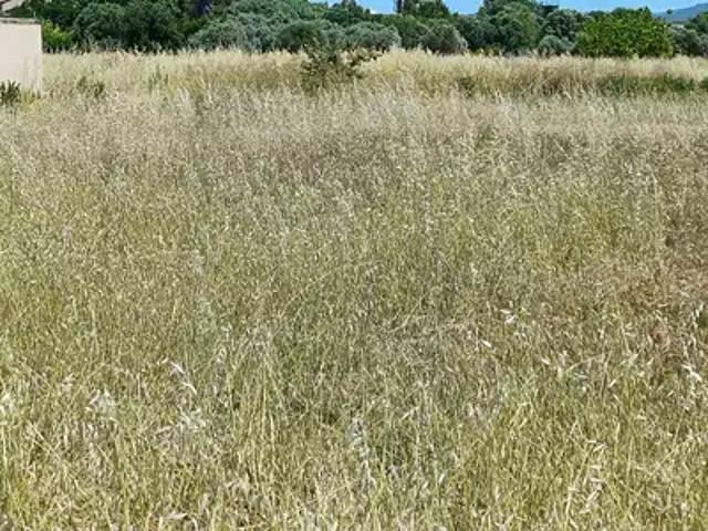 Achat terrains La Crau