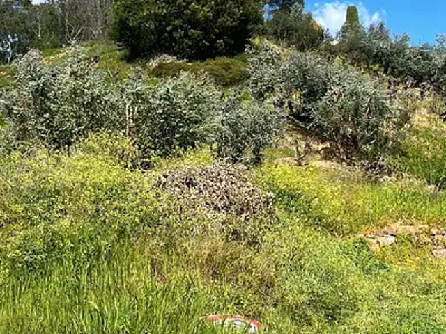 Achat terrains La Roquette sur Siagne