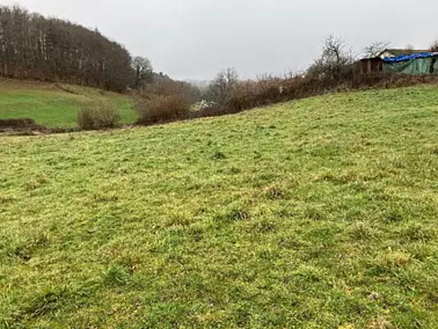Achat terrains Lacapelle Viescamp