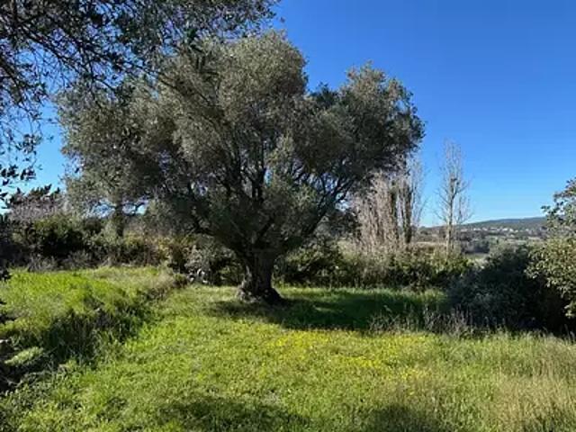 Achat terrains Le Castellet