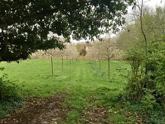 Achat terrains Maurepas