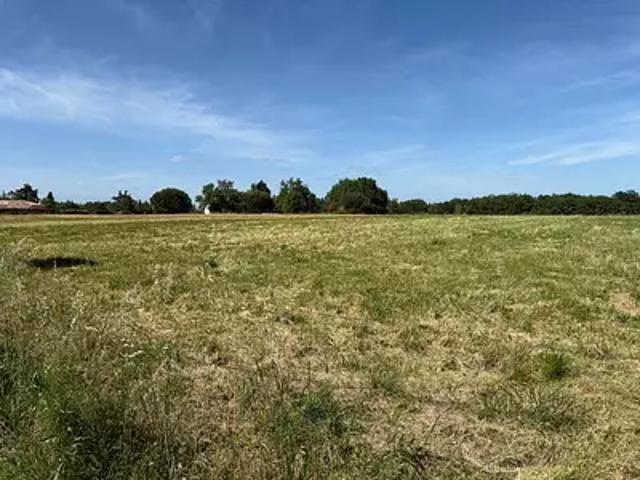 Achat terrains Mirepoix sur Tarn
