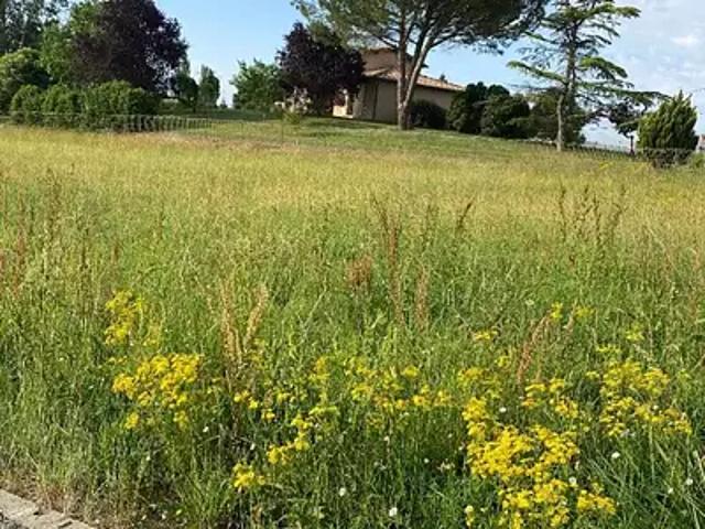 Achat terrains Montauban