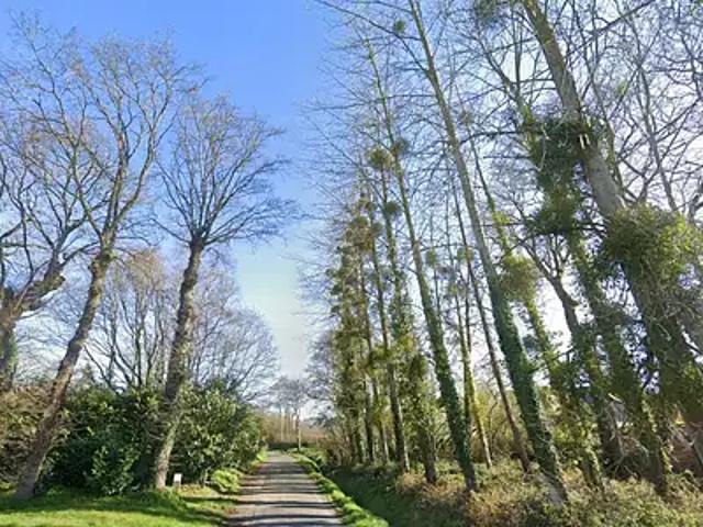 Achat terrains Montauban de Bretagne
