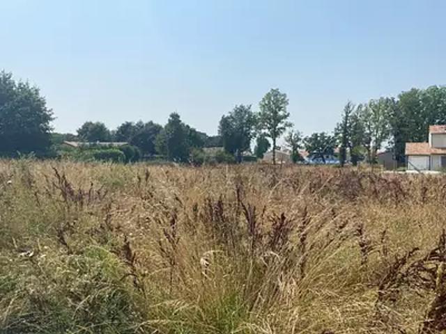 Achat terrains Montbeton