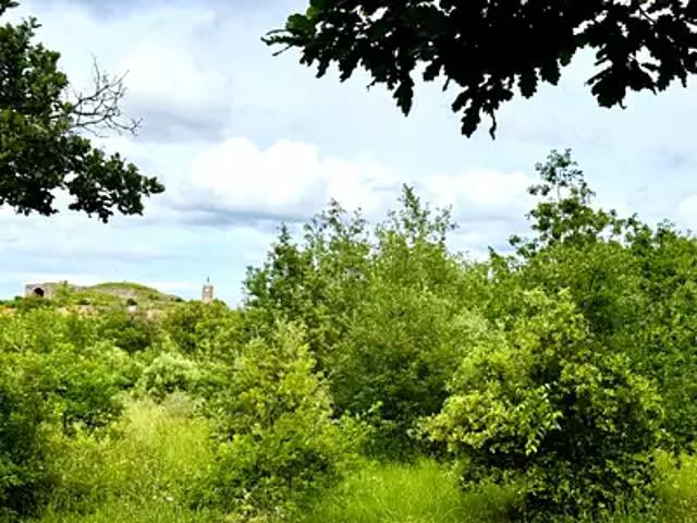 Achat terrains Montesquieu des Albères