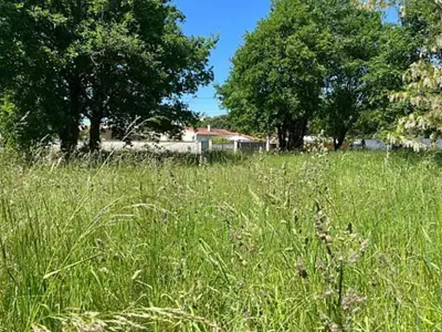 Achat terrains Moustey