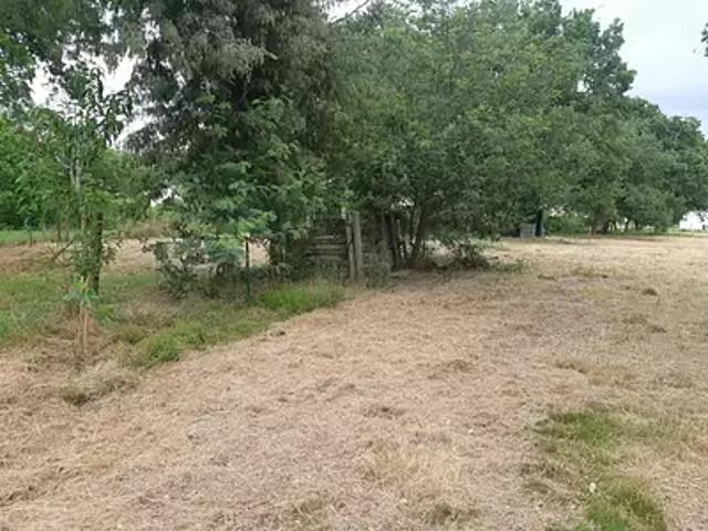 Achat terrains Orgueil