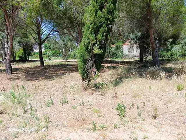 Achat terrains Perpignan
