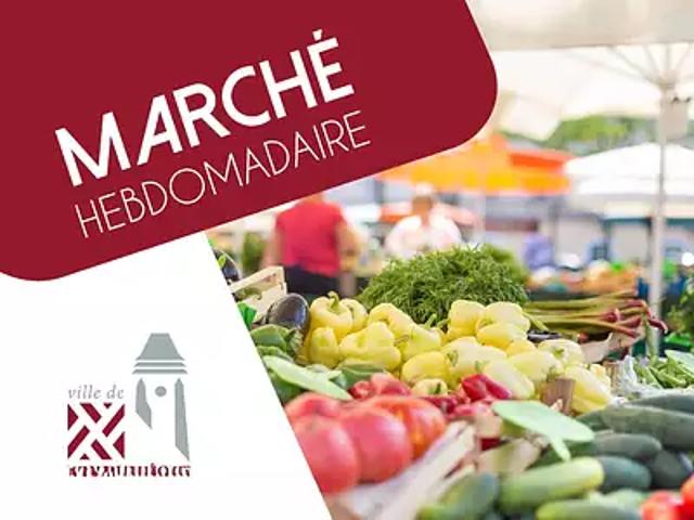 Achat terrains Pont l'Evêque
