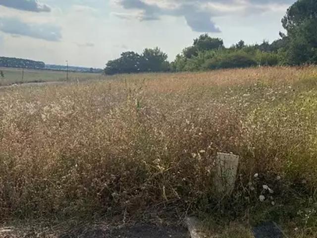 Achat terrains Reyniès