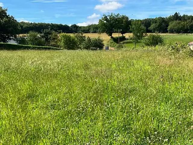 Achat terrains Roannes Saint Mary