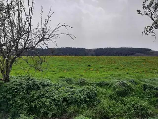 Achat terrains Roannes Saint Mary