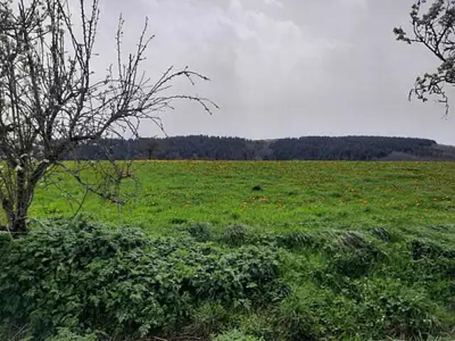 Achat terrains Roannes Saint Mary