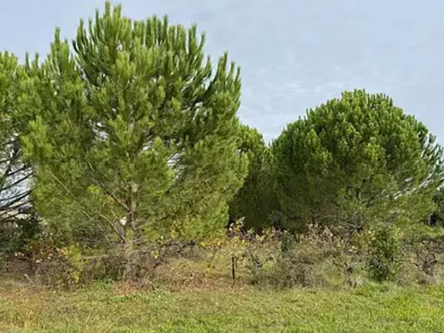 Achat terrains Saint Victor la Coste