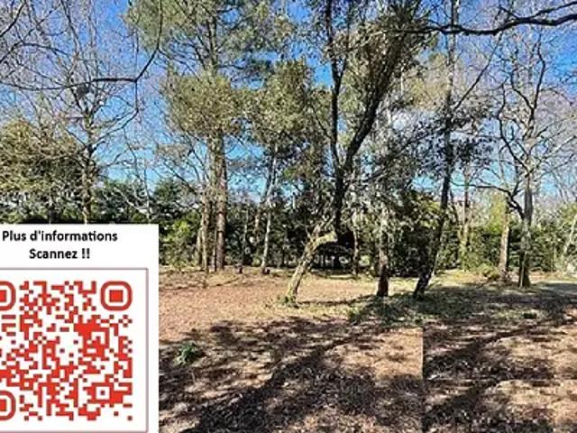 Achat terrains Saint Gilles Croix de Vie