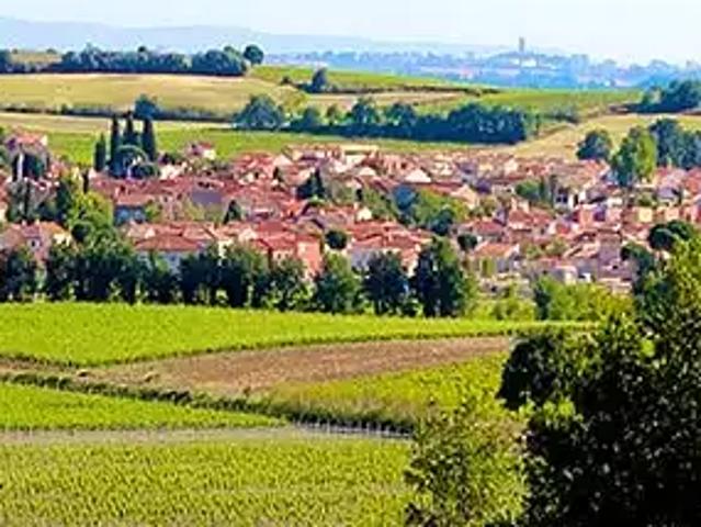 Achat terrains Saint Jean Lasseille