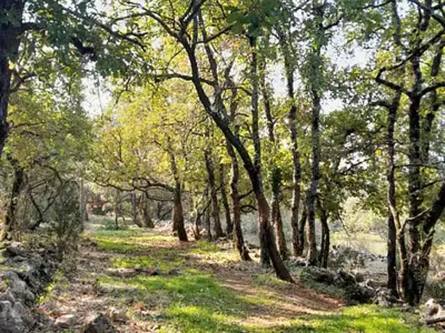 Achat terrains Saint Maximin la Sainte Baume