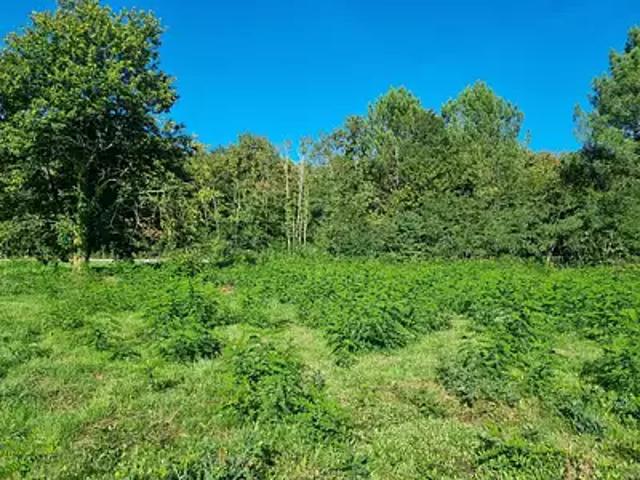 Achat terrains Saint Médard en Jalles