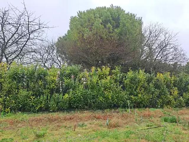 Achat terrains Saint Sulpice de Royan