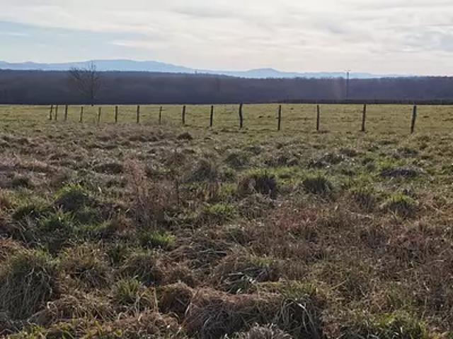 Achat terrains Saint Sylvestre Pragoulin