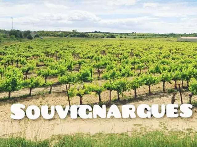 Achat terrains Souvignargues