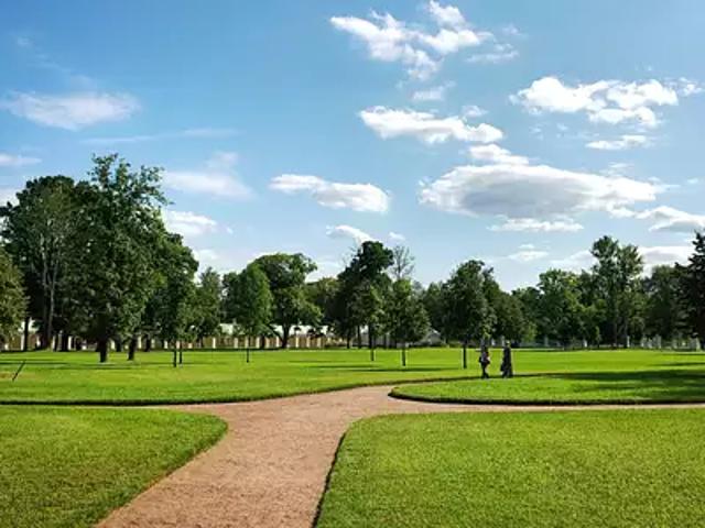 Achat appartements Bry sur Marne t2