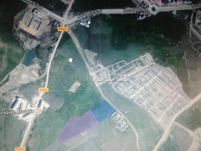 Achat de terrain à Aharrarine. Surface totale 25000 m²