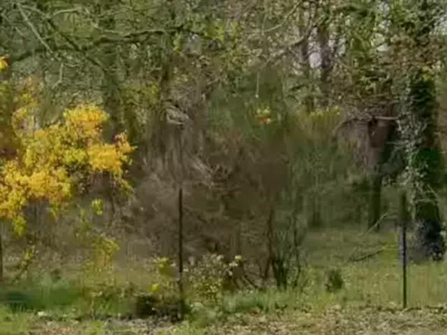 Achat maisons Magescq 6 pièces