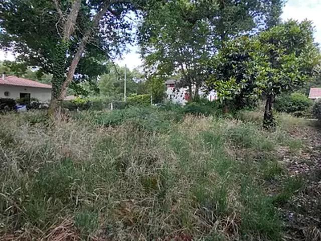 Achat maisons Messanges 4 pièces