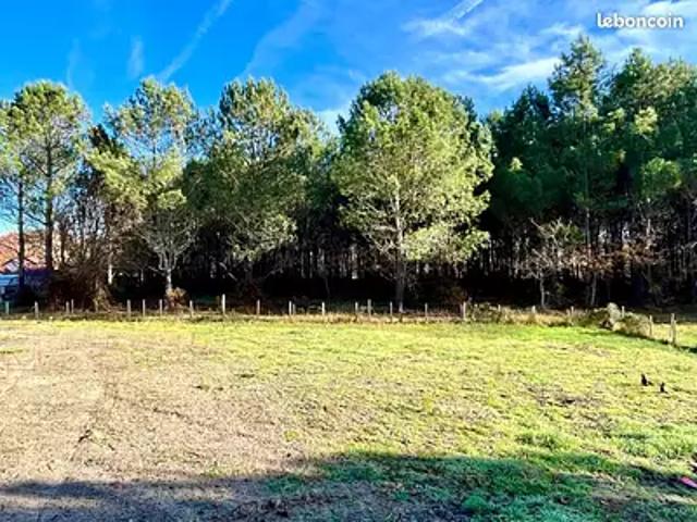 Achat maisons Messanges 5 pièces
