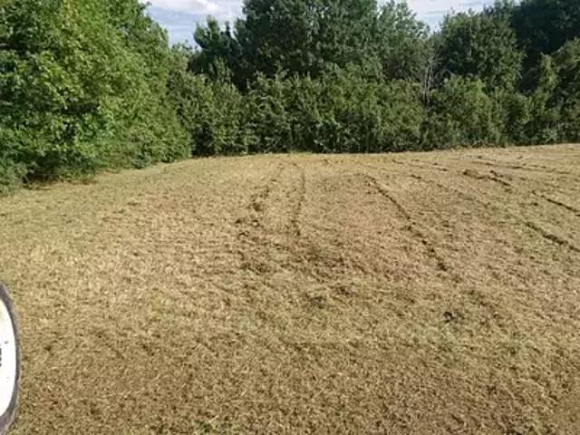 Achat maisons Mirambeau 4 pièces