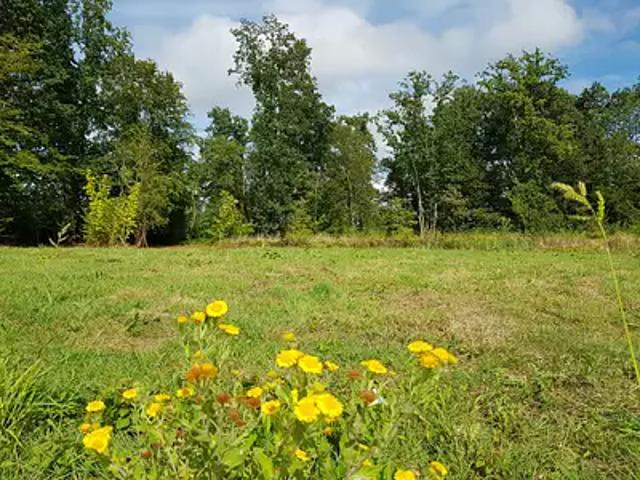 Achat maisons Mons en Pévèle 5 pièces
