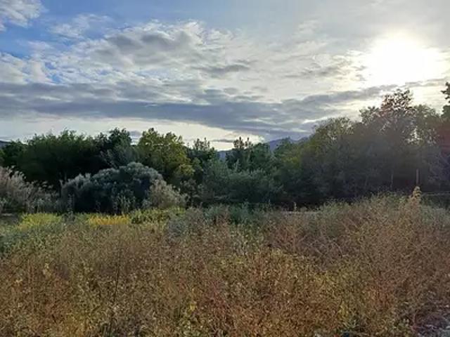 Achat maisons Montesquieu des Albères 4 pièces