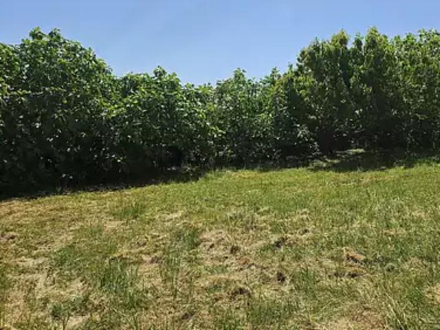 Achat maisons Montracol 6 pièces