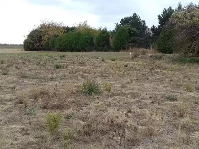 Achat maisons Nanteau sur Lunain 5 pièces