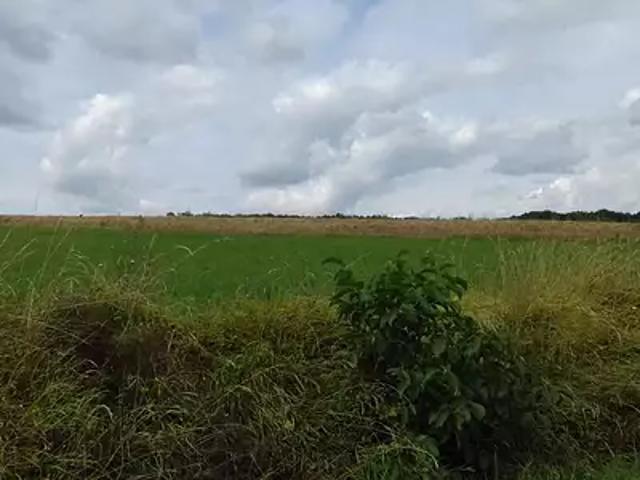 Achat maisons Oyré 5 pièces