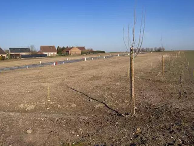 Achat maisons Aubigny au Bac 4 pièces