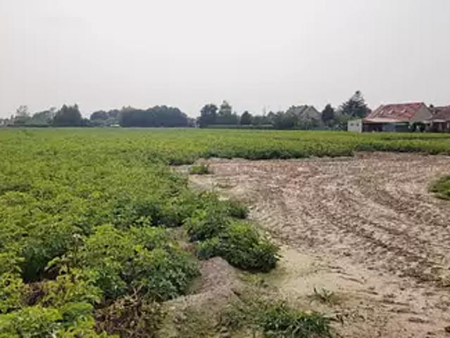 Achat maisons Audruicq 5 pièces