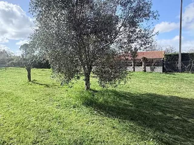 Achat maisons Ayguemorte les Graves 4 pièces