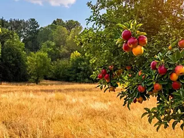 Achat maisons Aix en Provence 5 pièces
