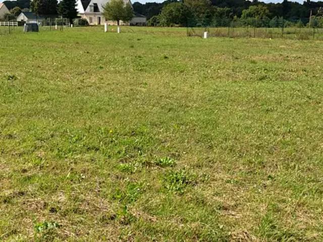 Achat maisons Artannes sur Indre 5 pièces