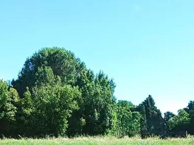 Achat maisons Bompas 5 pièces