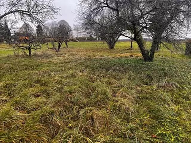 Achat maisons Bouilly 6 pièces
