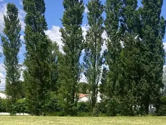 Achat maisons Bretignolles sur Mer 4 pièces