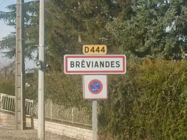 Achat maisons Bréviandes 7 pièces