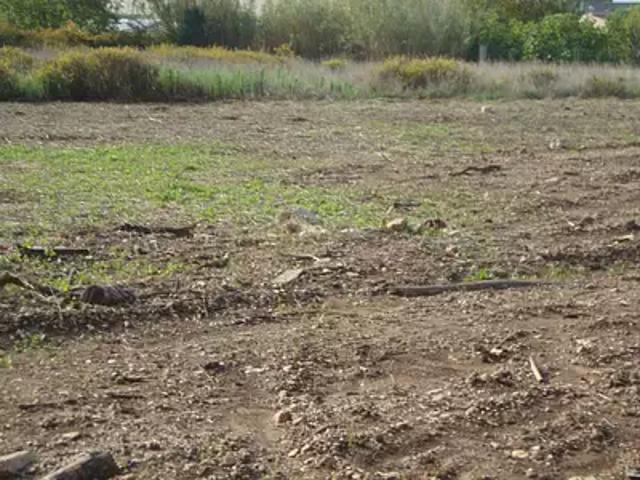 Achat maisons Cuers 4 pièces
