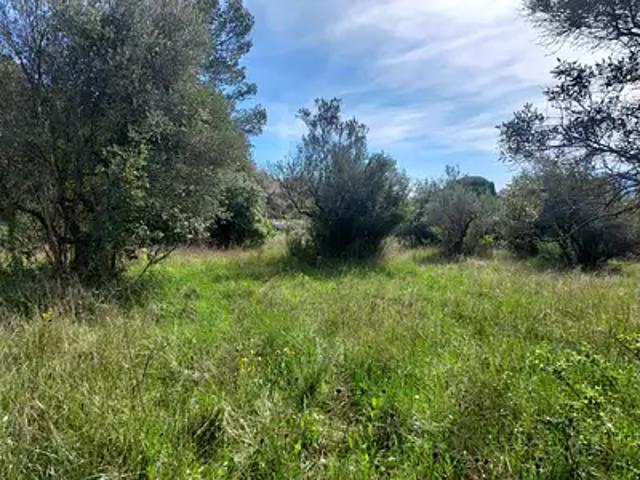 Achat maisons Camps la Source 5 pièces